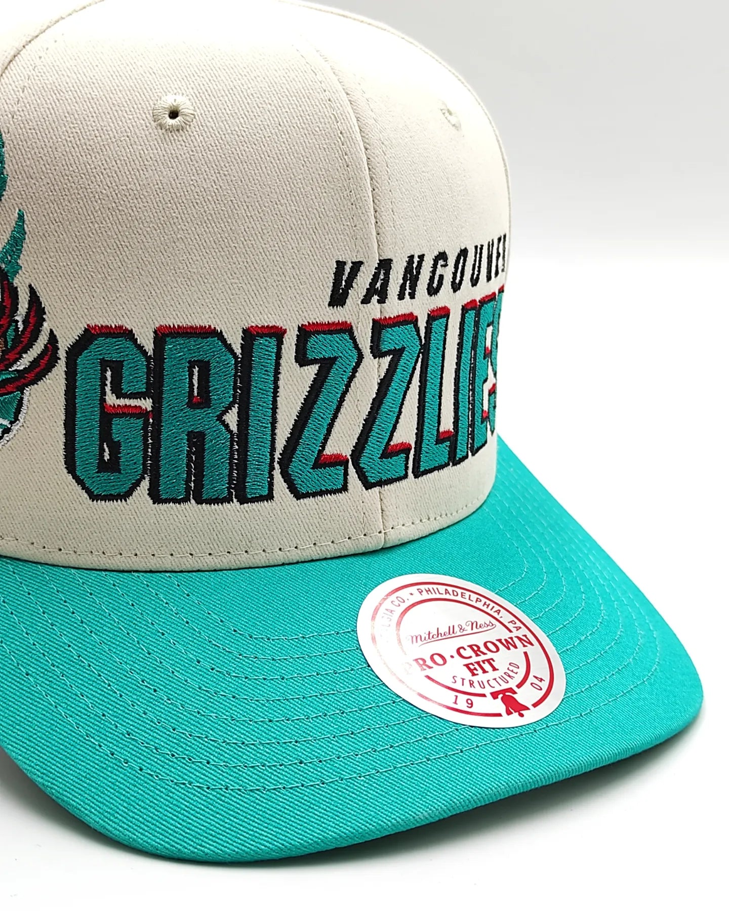 Mitchell And ness Vancouver Grizzlies '96 Draft' Pro Crown Snapback
