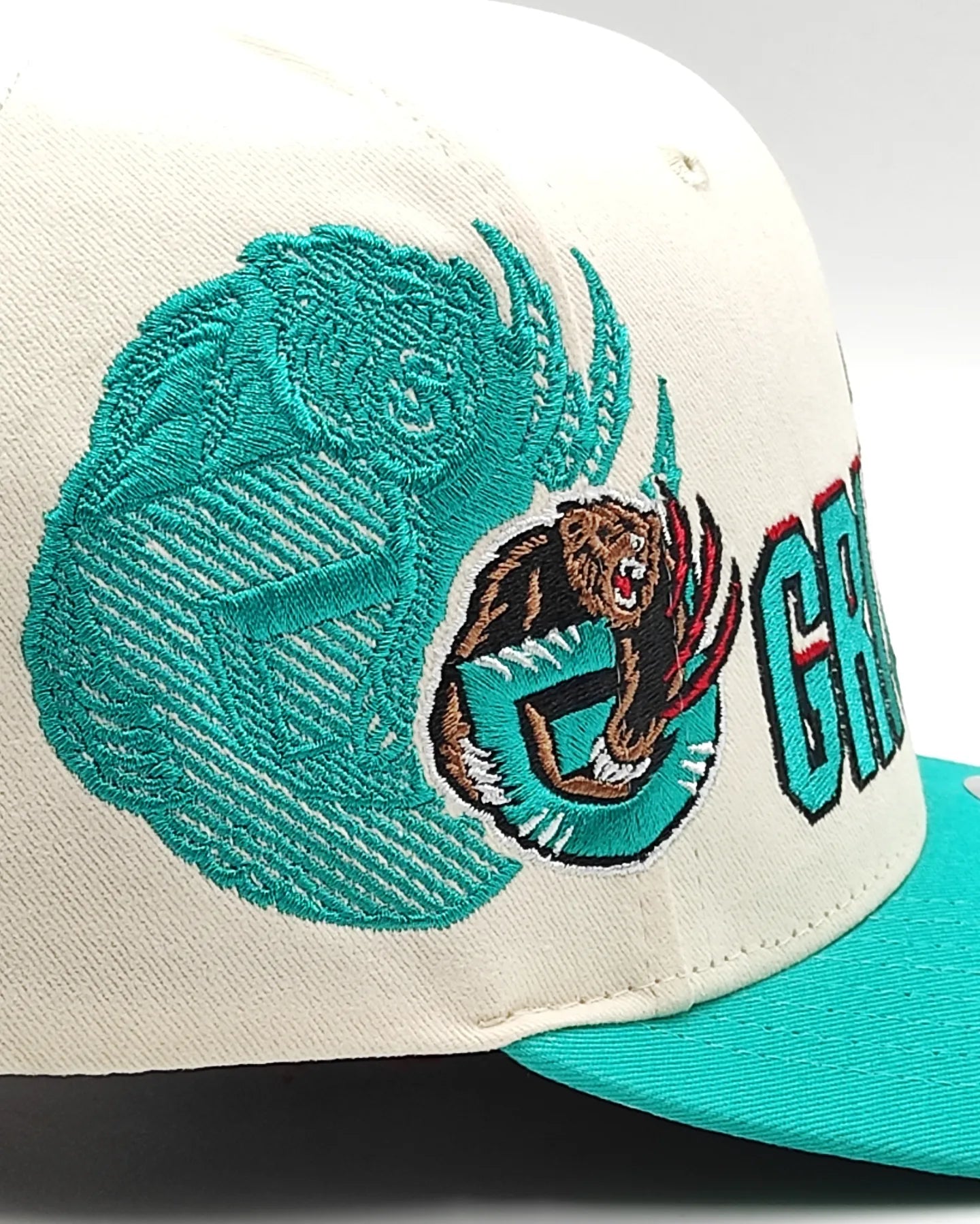 Mitchell And ness Vancouver Grizzlies '96 Draft' Pro Crown Snapback