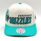 Mitchell And ness Vancouver Grizzlies '96 Draft' Pro Crown Snapback