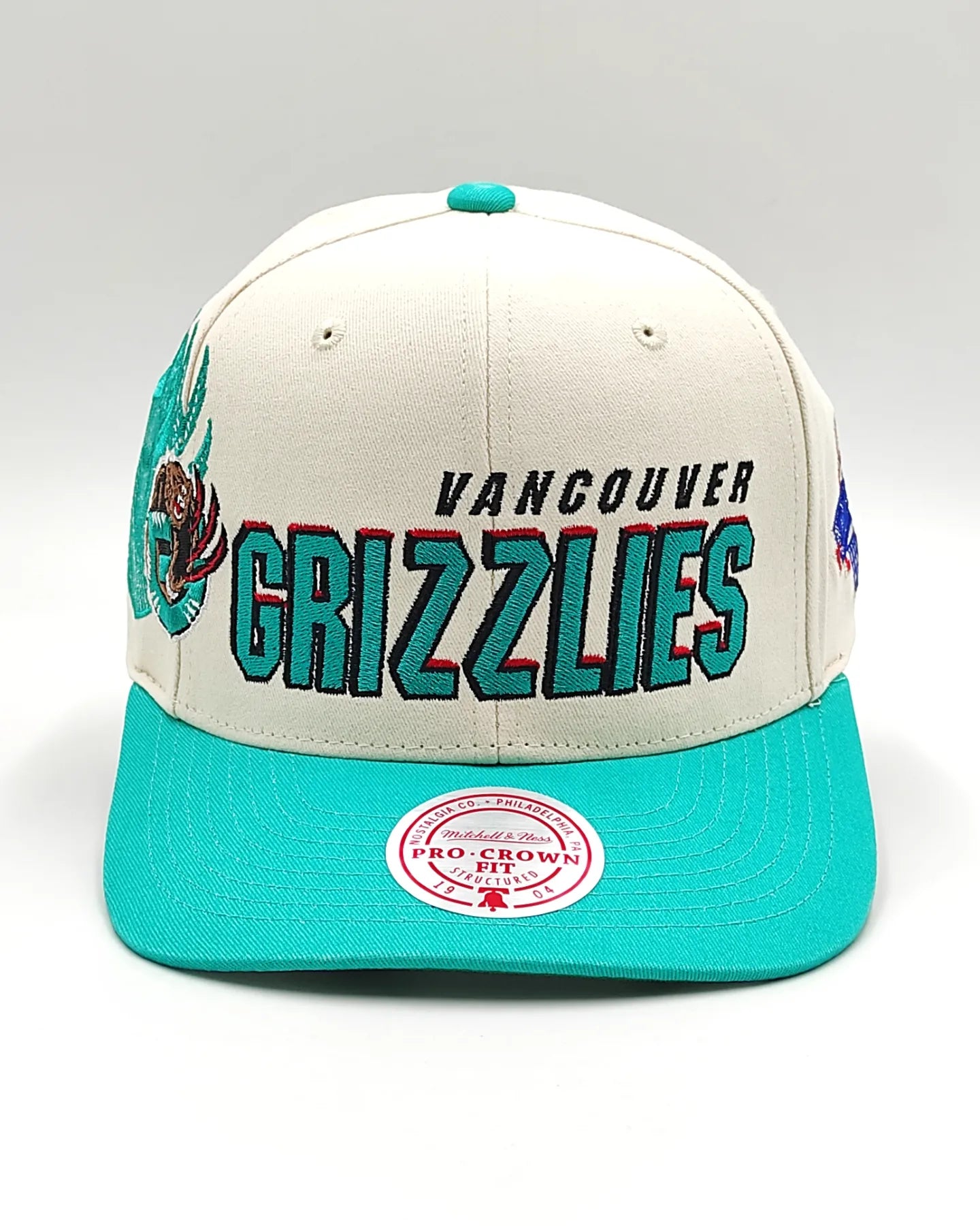 Mitchell And ness Vancouver Grizzlies '96 Draft' Pro Crown Snapback