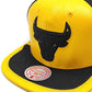 Gorra Chicago Bulls Air Jordan DAY ONE Snapback Mitchell & Ness NBA - Amarillo/Negro
