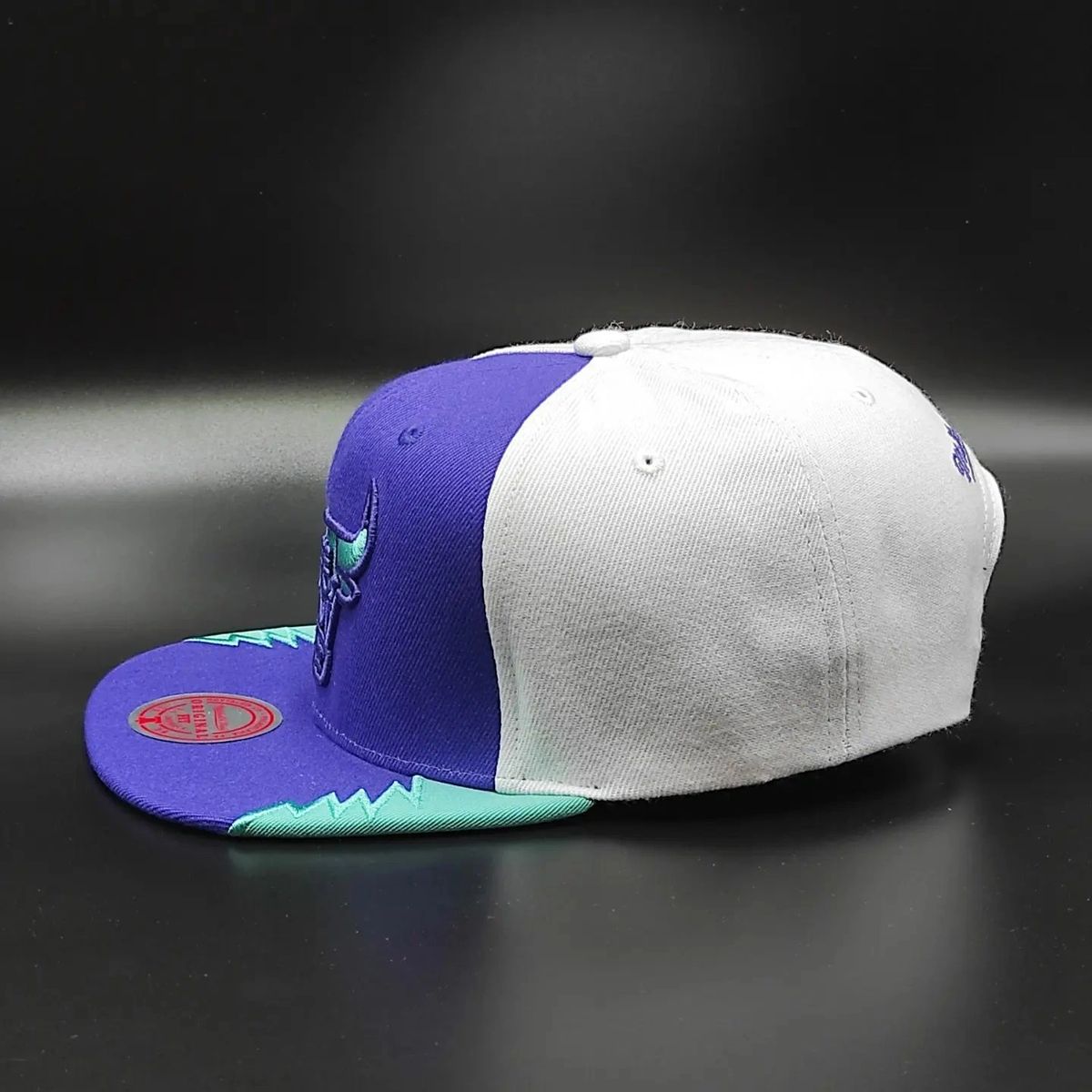 Gorra Snapback AIR JORDAN DAY 5 de Mitchell & Ness exclusiva de los Chicago Bulls - Púrpura/Verde azulado