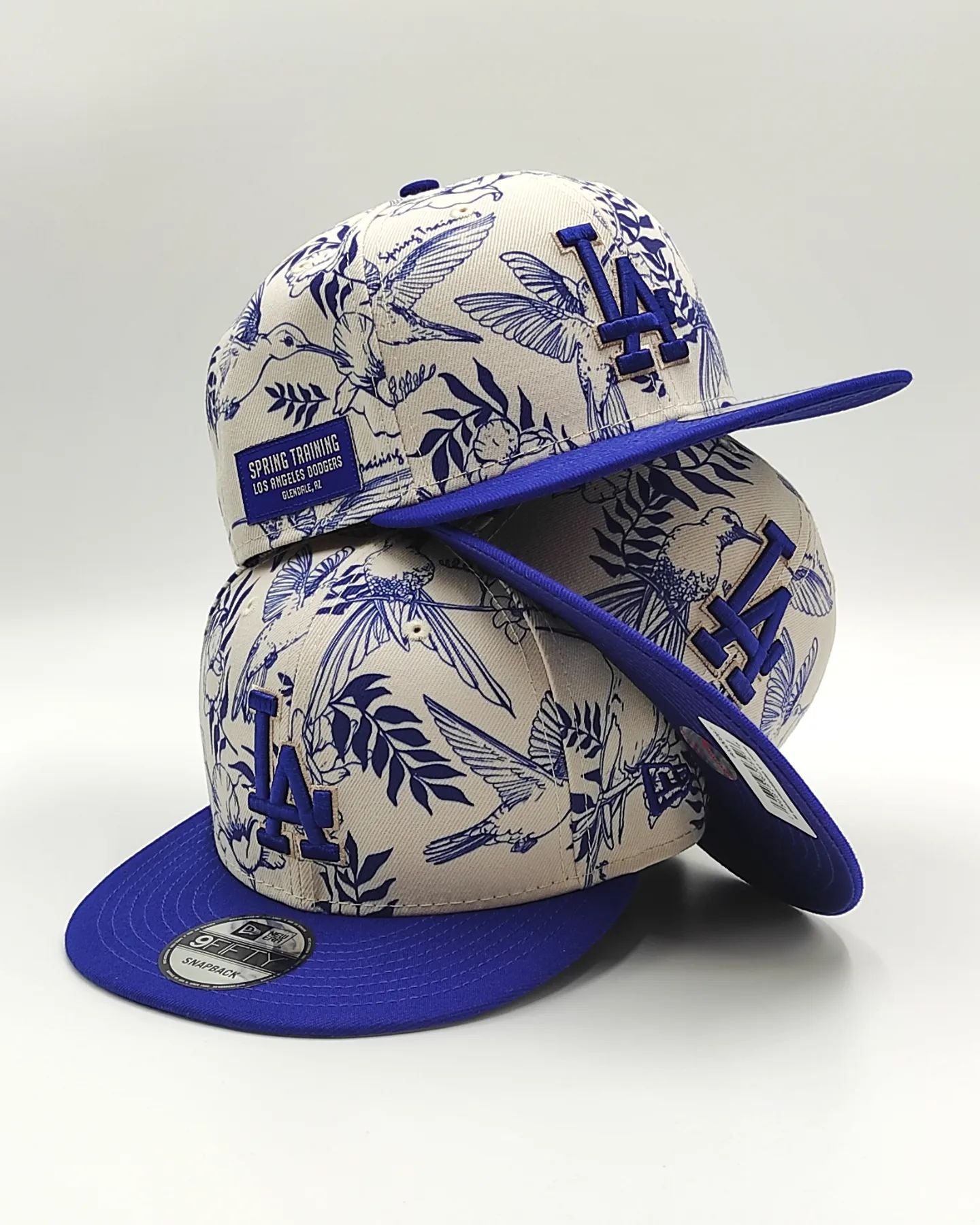 New Era Los Angeles Dodgers 9fifty snapback colec. spring training fan