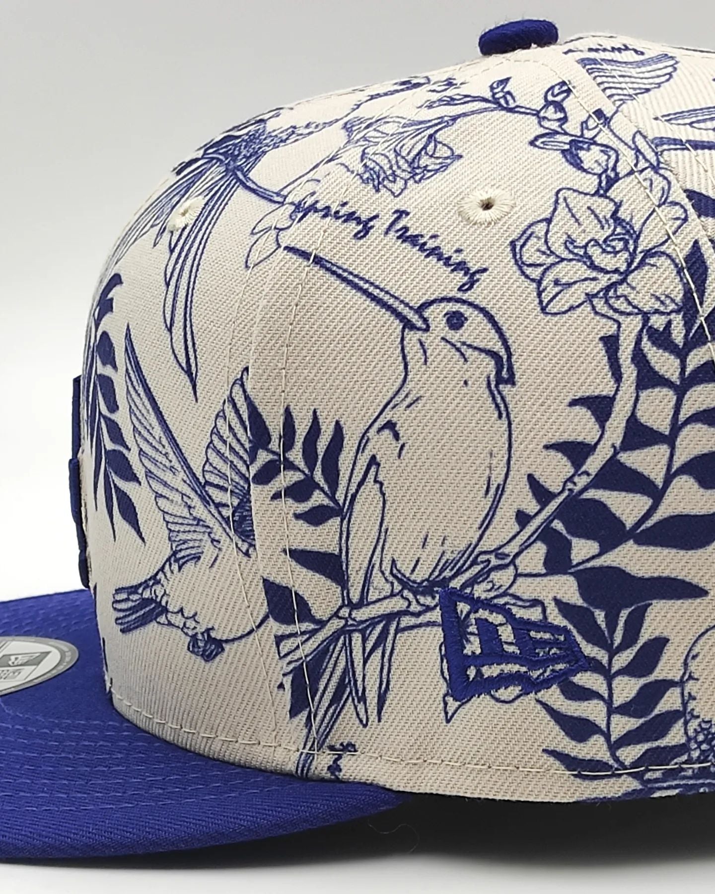 New Era Los Angeles Dodgers 9fifty snapback colec. spring training fan
