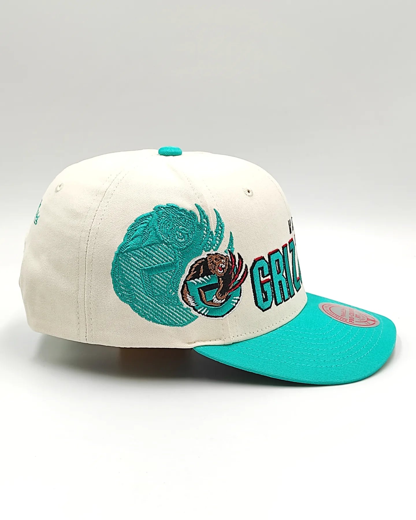 Mitchell And ness Vancouver Grizzlies '96 Draft' Pro Crown Snapback