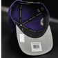 San jose sharks 1996 all star game patch snapback hat - 47 brand