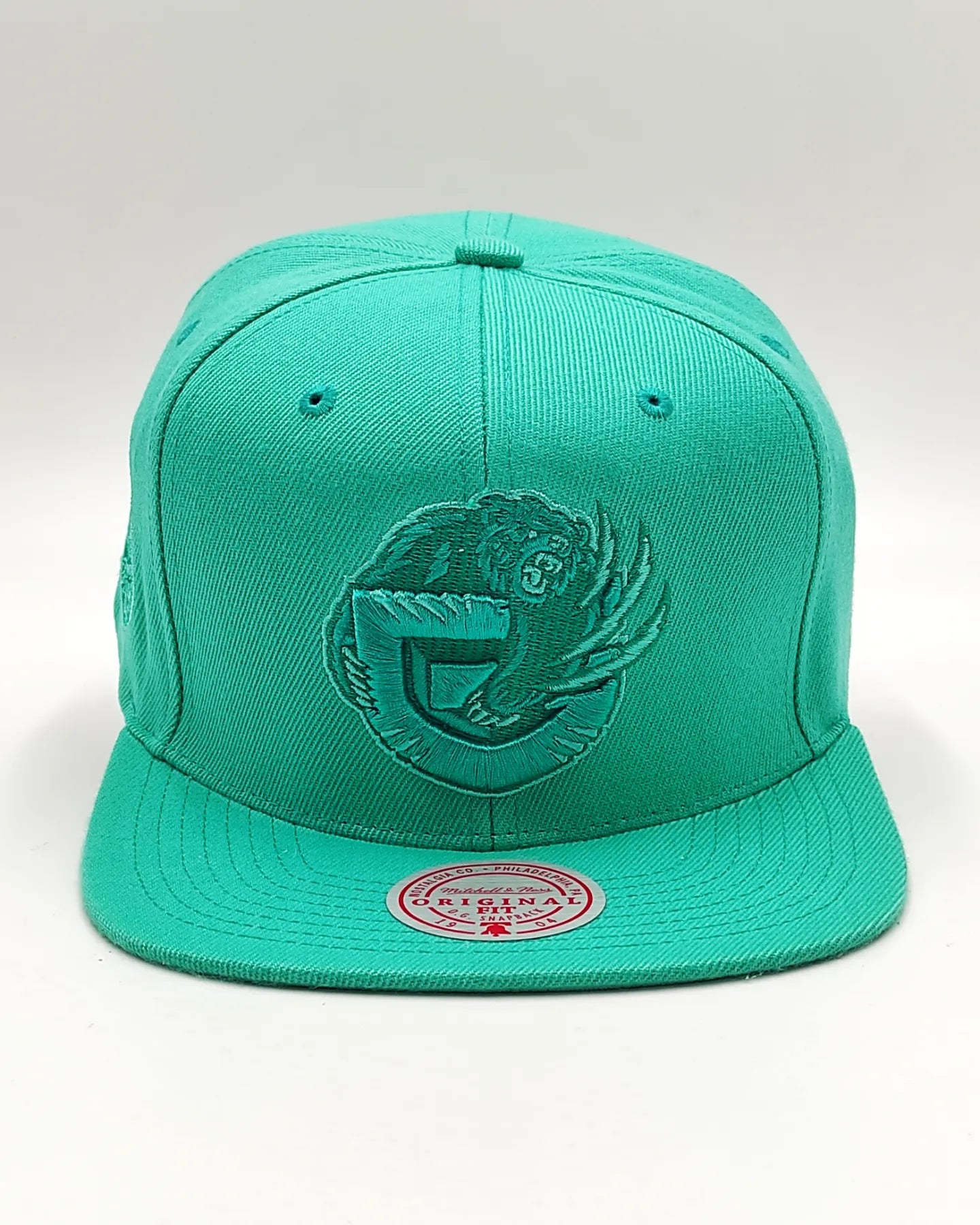 Mitchell & Ness Memphies Grizzlies Monochrome Original Fit Snapback teal