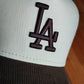 NEW ERA 9FORTY A-FRAME MLB LOS ANGELES DODGERS 60TH 2TONE / PINK UV TRUCKER