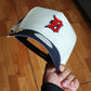 New Era Detroit Tigers comerica park tow tone Chrome baby  9forty A-FRAME