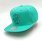 Mitchell & Ness Memphies Grizzlies Monochrome Original Fit Snapback teal