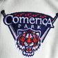 New Era Detroit Tigers comerica park tow tone Chrome baby  9forty A-FRAME