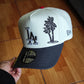 Los Angeles Dodgers 🌴 50th aniversario two tone  New Era 9Fifty A-Frame Snapback