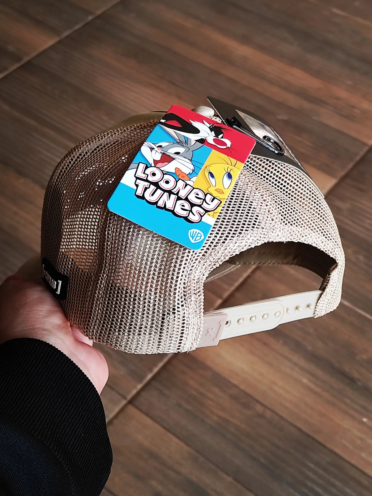 Capslab Looney Tunes Wile E. Coyote Trucker Snapback Hat