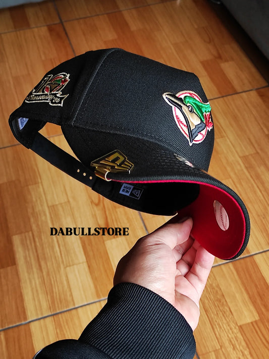 Toronto Blue Jays Curved 10th Season Side Patch New Era 9Forty A-Frame Snapback