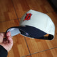 New Era Detroit Tigers comerica park tow tone Chrome baby  9forty A-FRAME