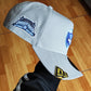 New Era Chicago Cubs 100 th aniversario icy 🧊 gray 9FORTY A-FRAME