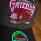 Mitchell & Ness Vancouver Grizzlies Hardwood Classic Brown Sugar Edition Snapback Hat