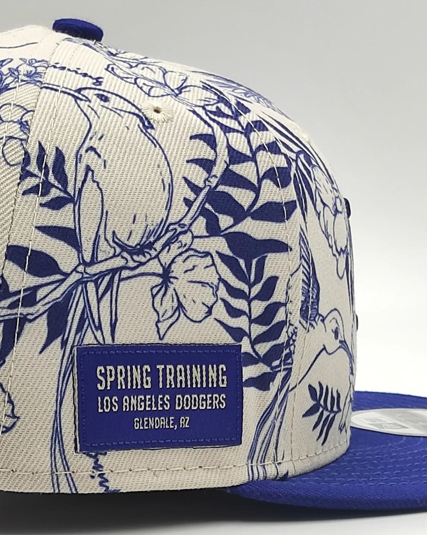 New Era Los Angeles Dodgers 9fifty snapback colec. spring training fan