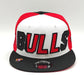 New Era Chicago Bulls NBA back Half 9FIFTY